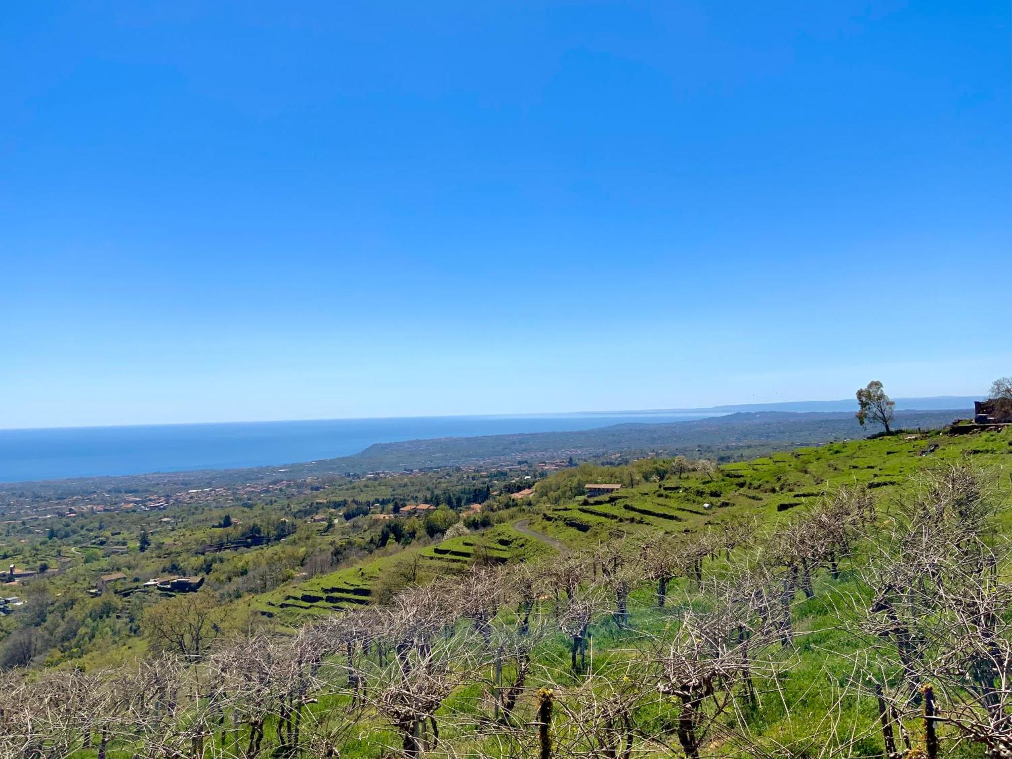 Tenuta Kiwi Dell'Etna ميلو المظهر الخارجي الصورة