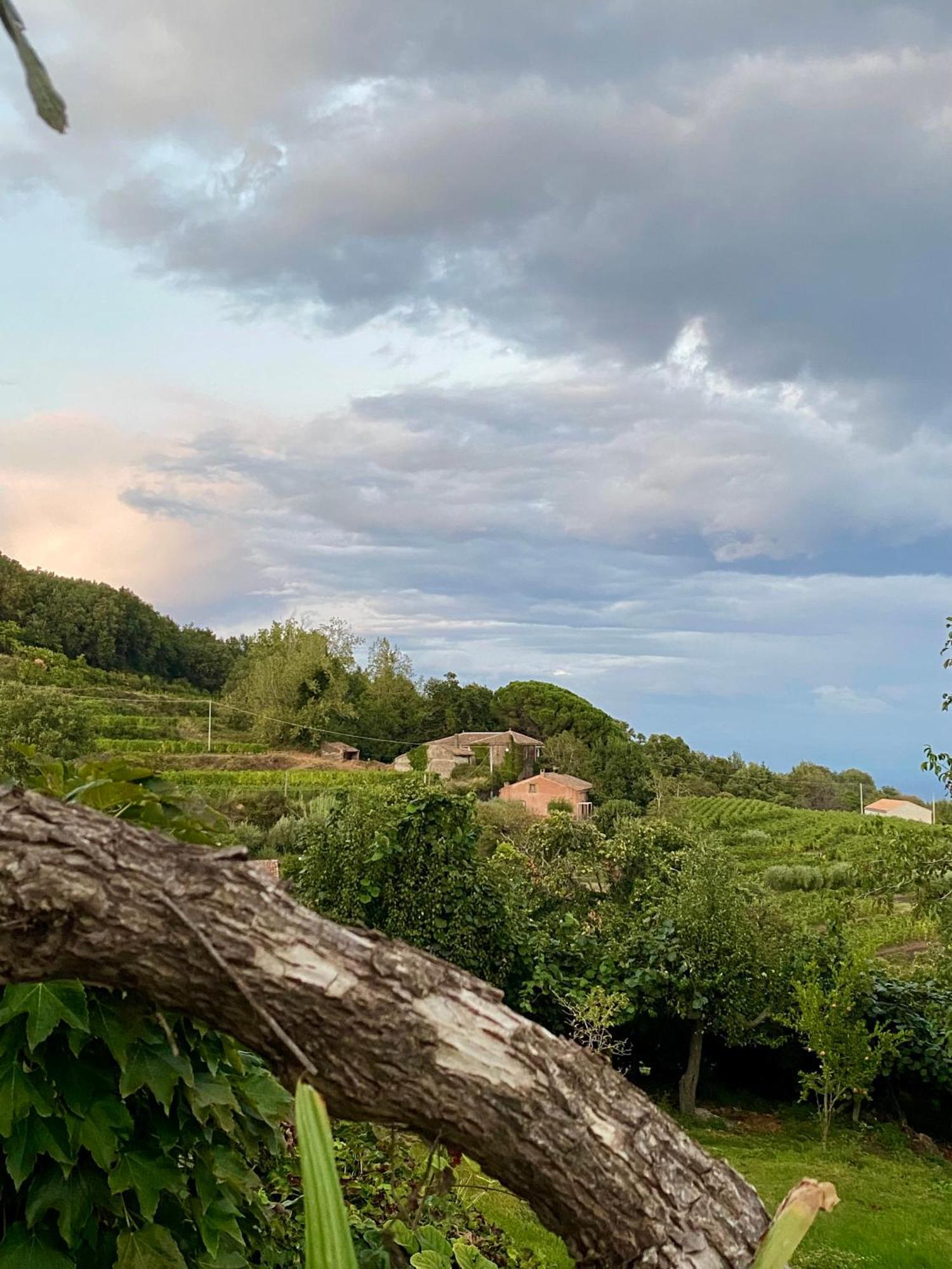 Tenuta Kiwi Dell'Etna ميلو المظهر الخارجي الصورة